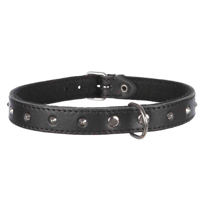 Collar Basic