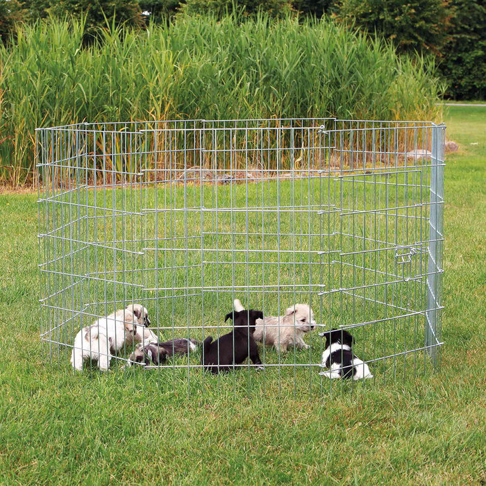 Recinto Cachorros natura