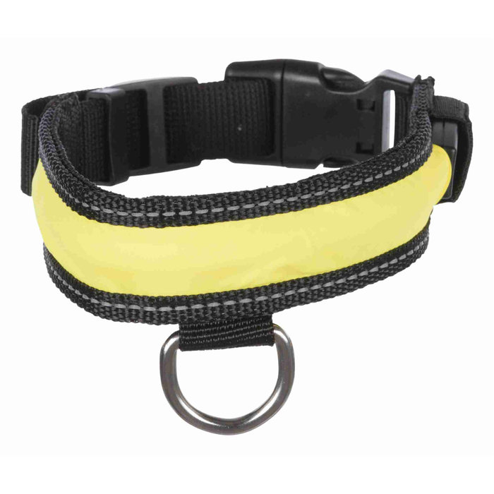 Collar Flash