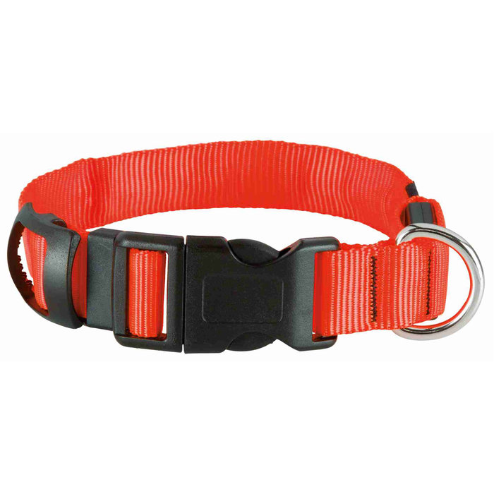 Collar Flash