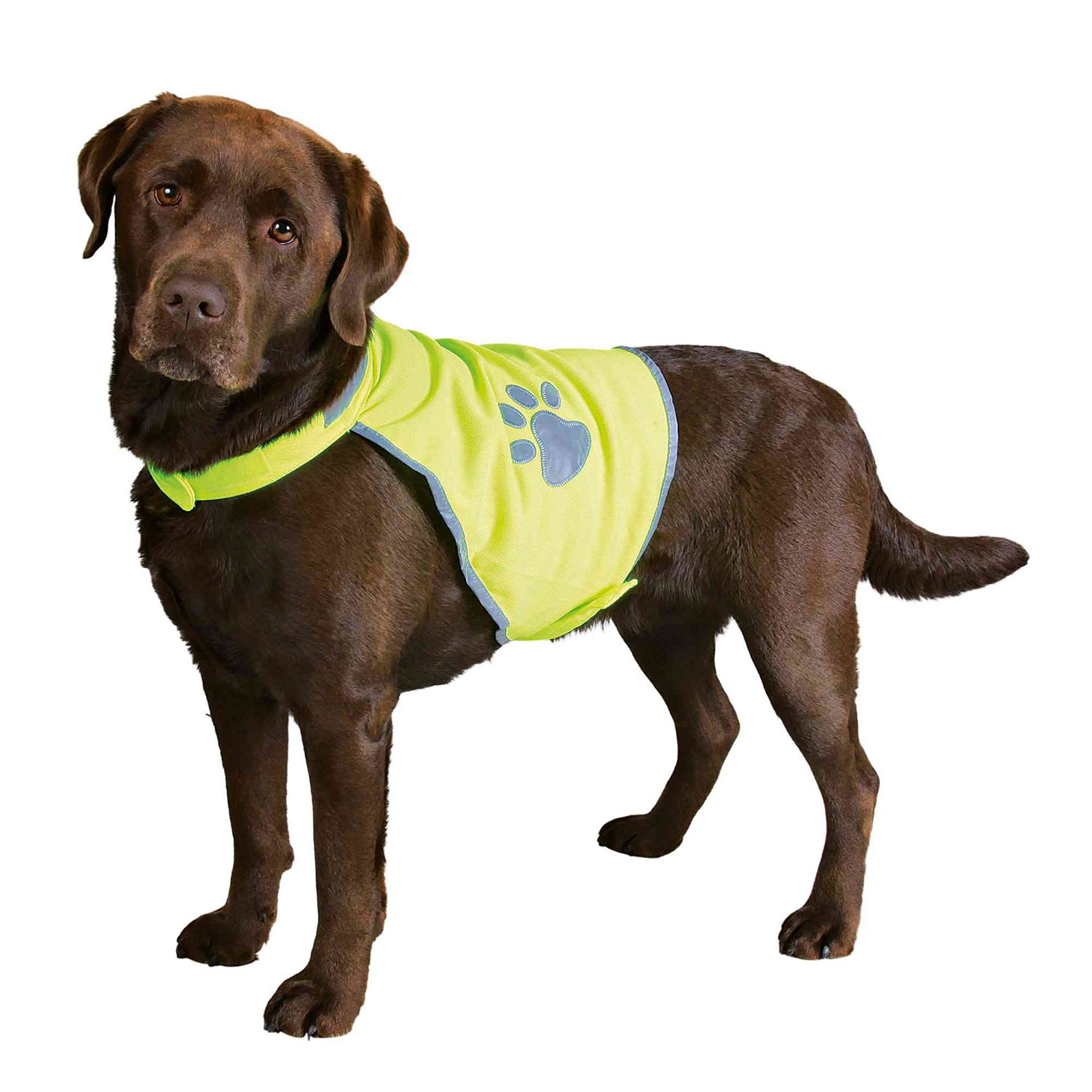 Chaleco de Seguridad Reflectante Perros, XS