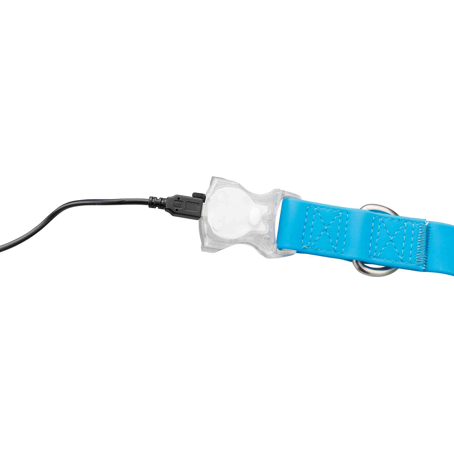 Collar Easy Flash con Flasher, S-M, 30-45 cm/20 mm, Azul Neón