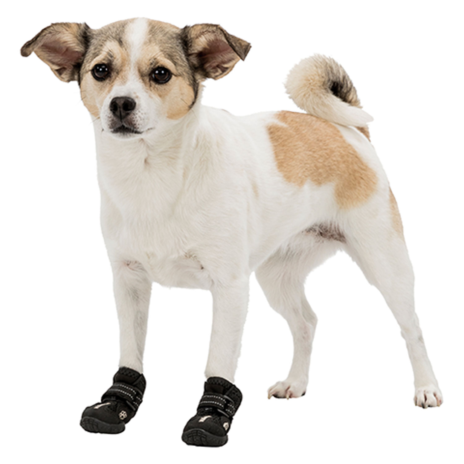 2 Botas Protectoras Walker Active, XS
