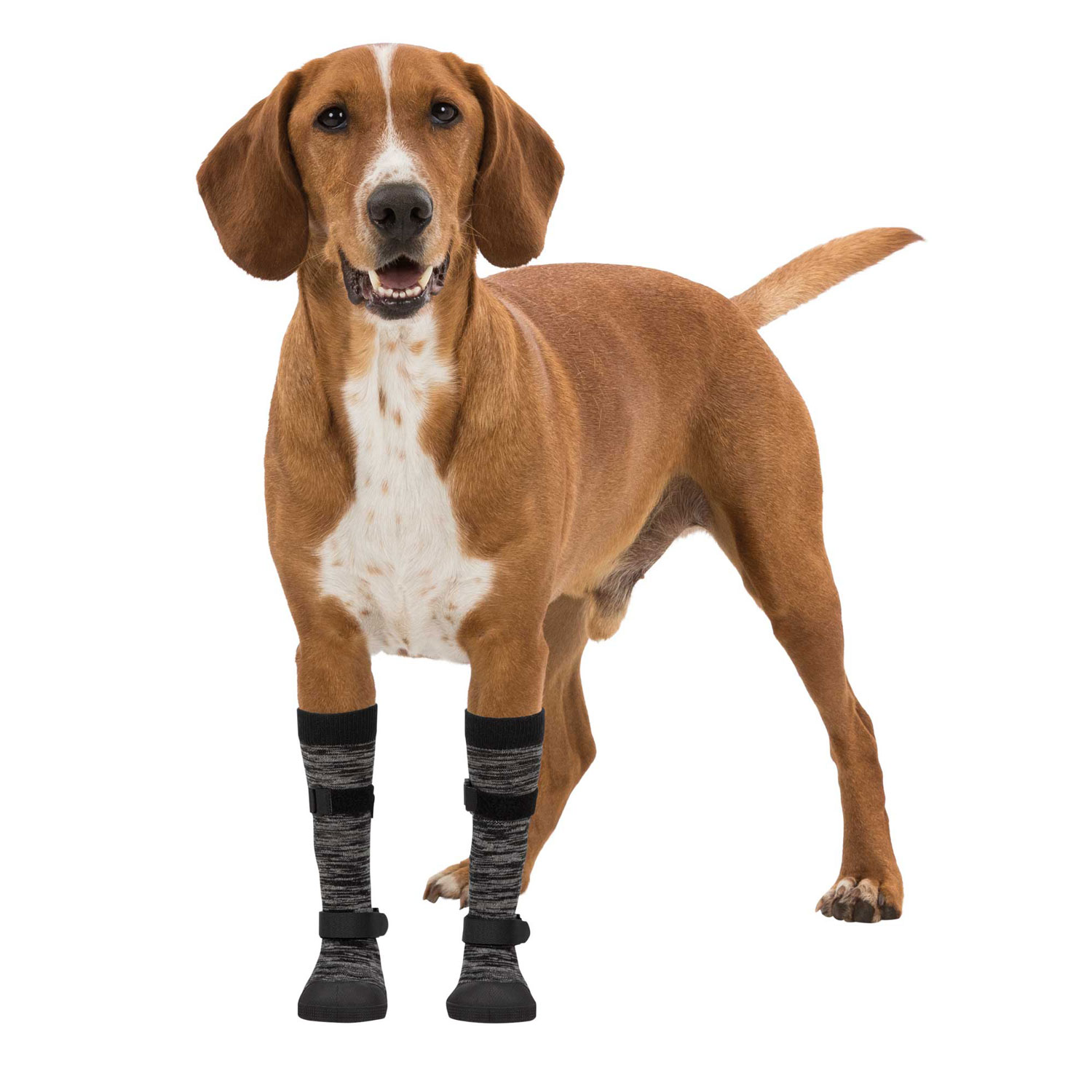 Calcetines Perro Walker, XS, 2 uds, Negro/Gris