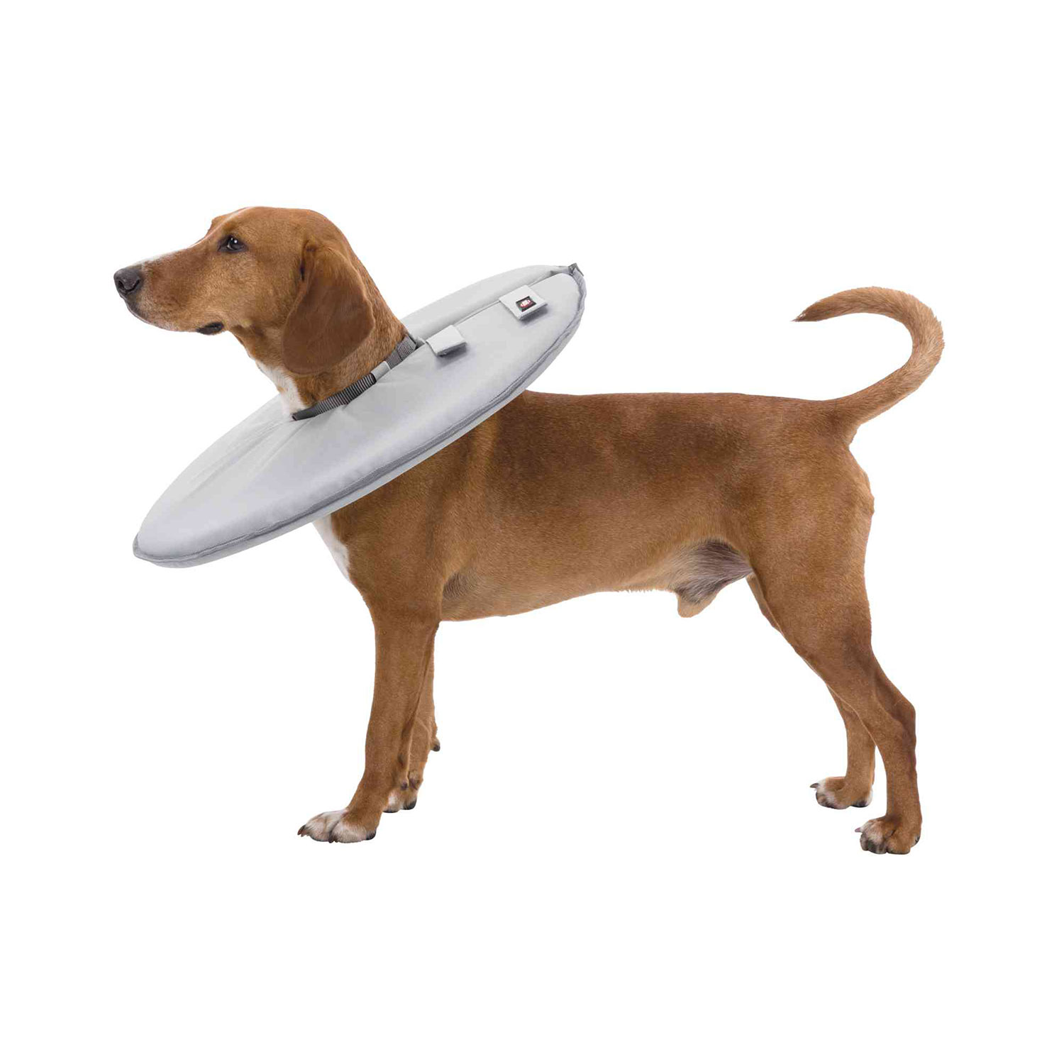 Collar Veterinario, XS: 23-27cm/13cm, Gris