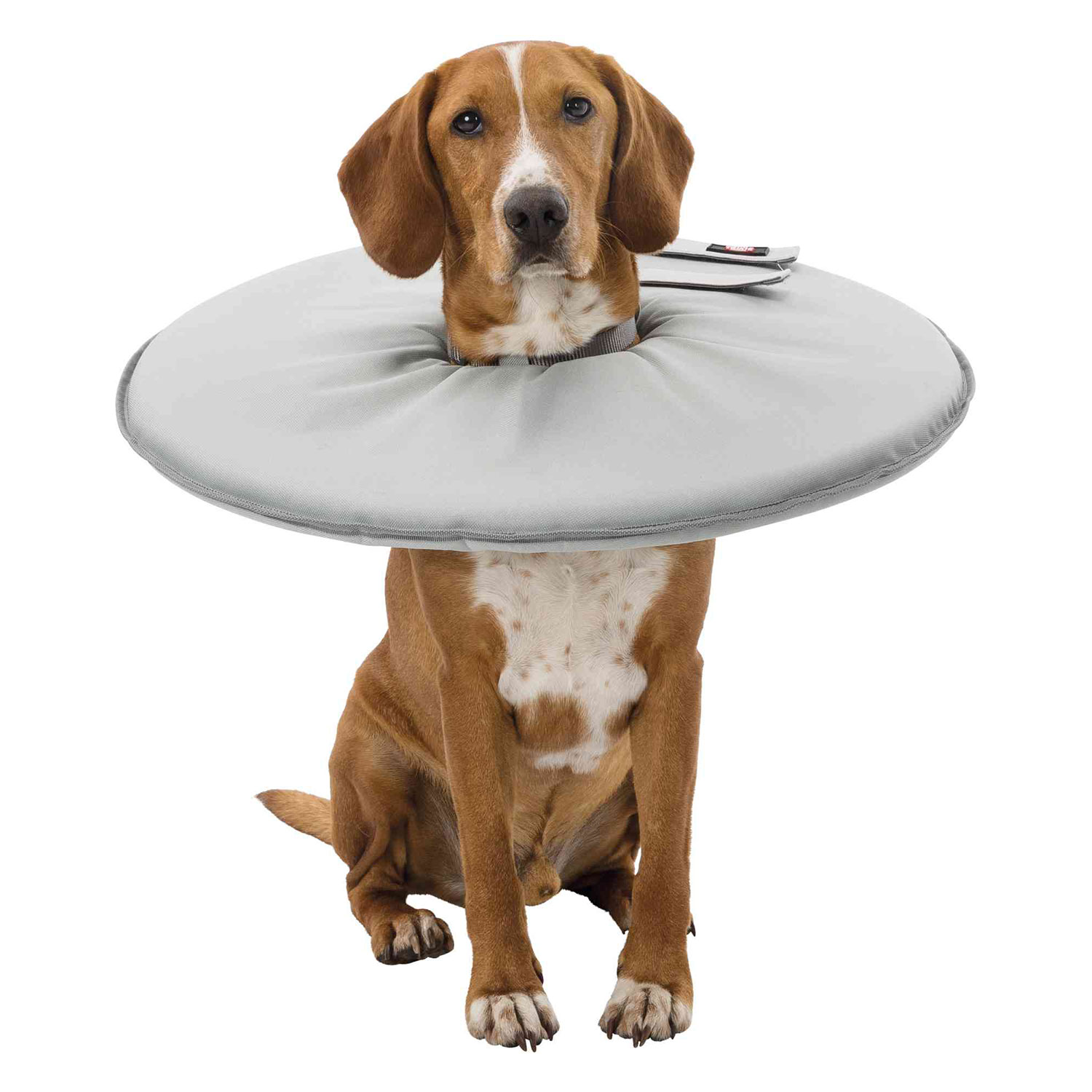 Collar Veterinario, XS: 23-27cm/13cm, Gris