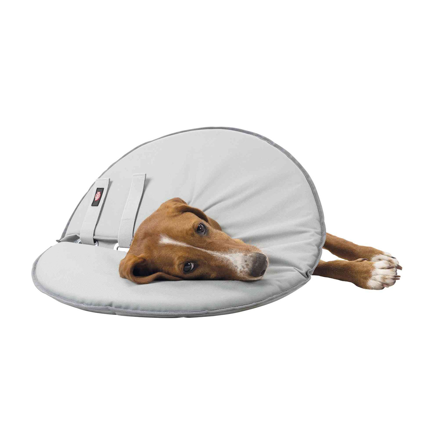 Collar Veterinario, XS: 23-27cm/13cm, Gris