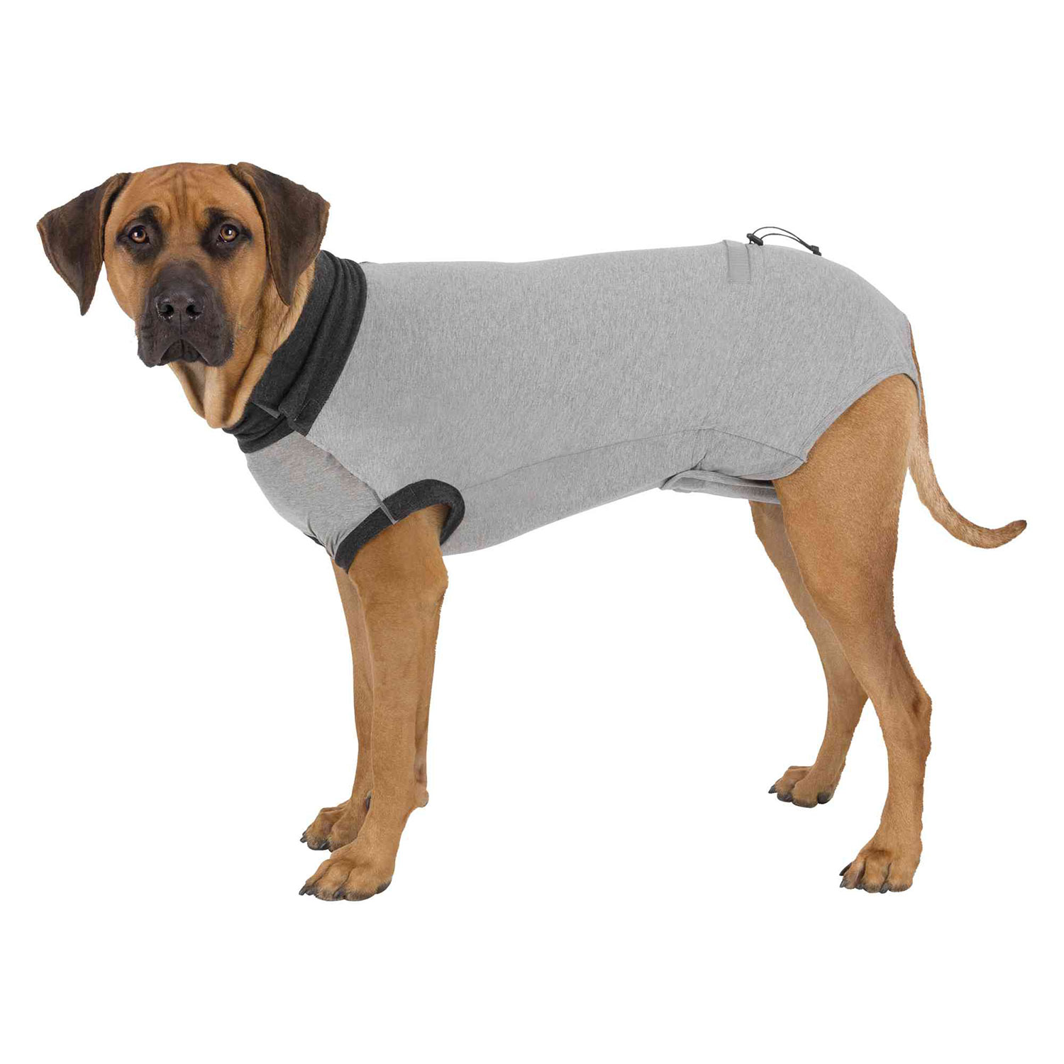 Body Protector, XS–S, 30 cm, Gris