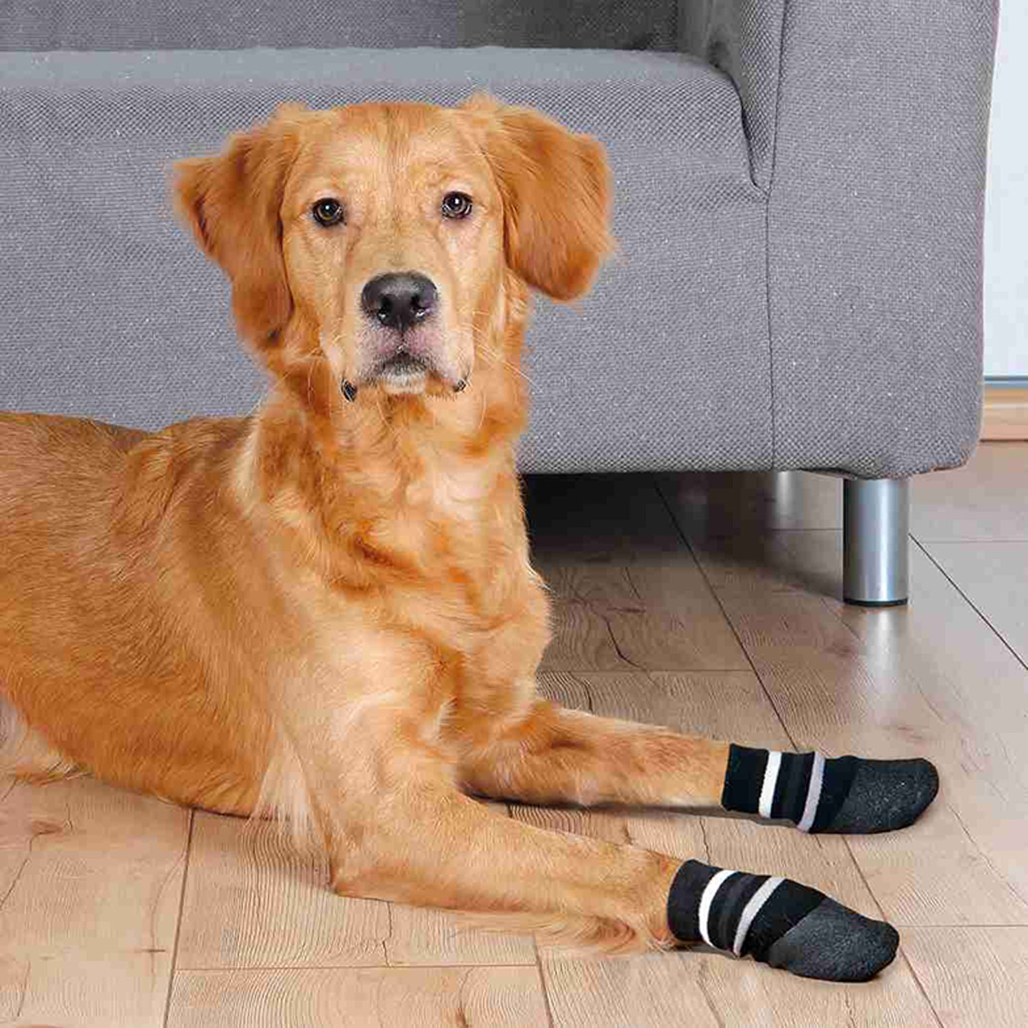 2 Calcetines Perro, Antideslizante, XS-S, Negro