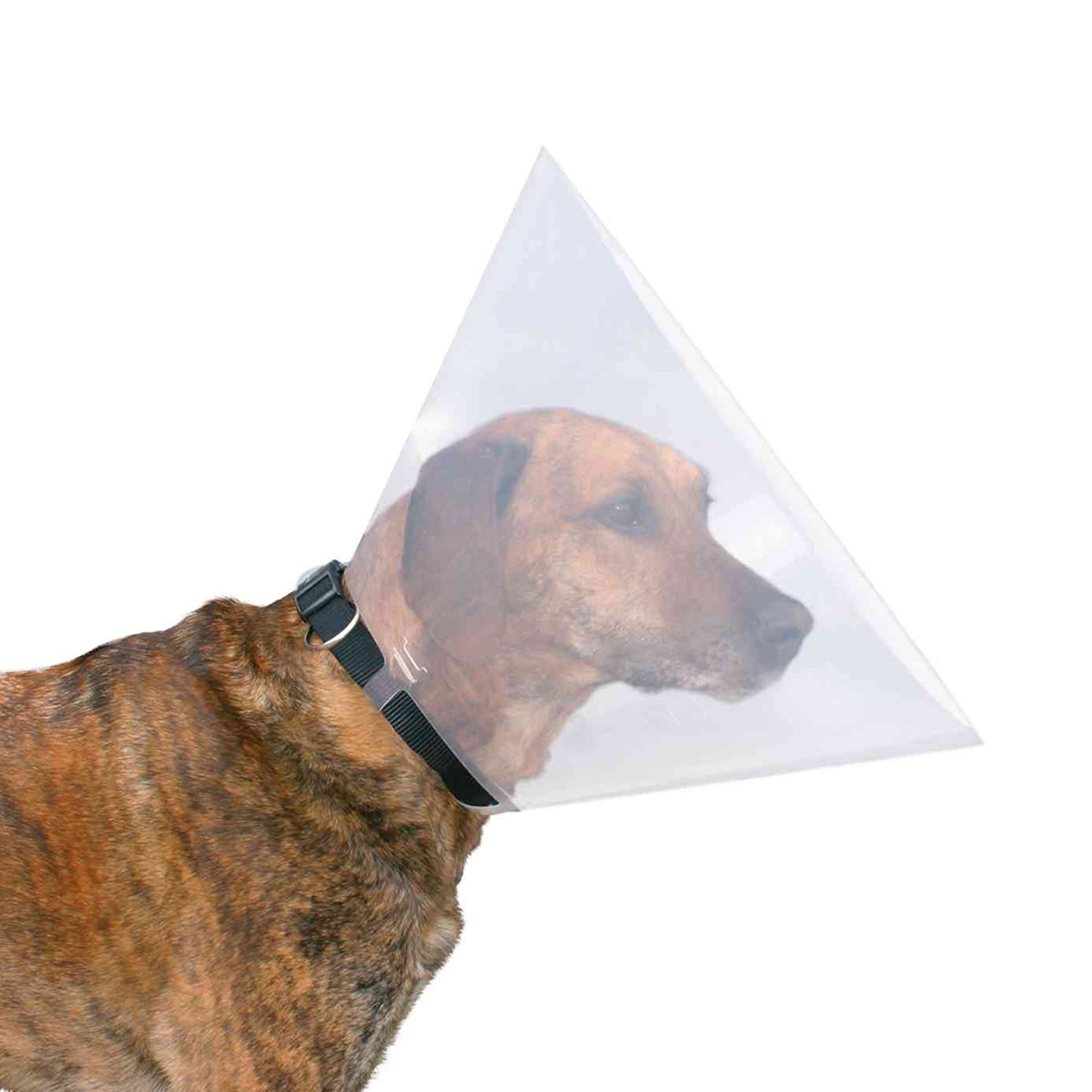 Collar Veterinario, XS, ø22-25 cm / 7 cm