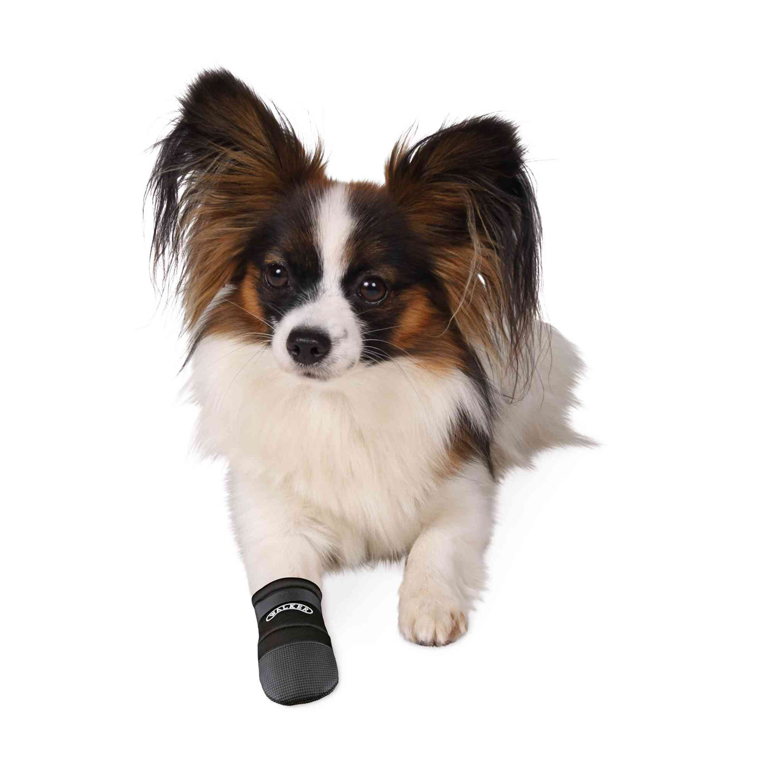 2 Botas Protectoras Walker, Neopreno, Perros, S, Negro