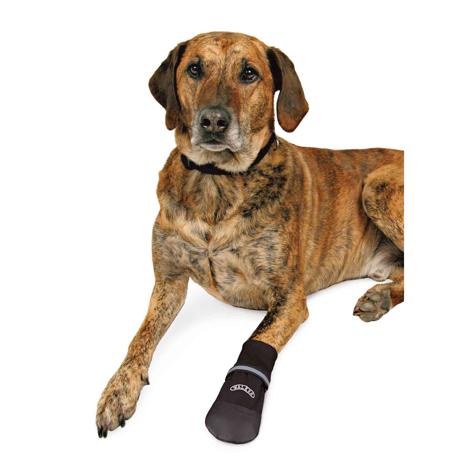 2 Botas Confort Walker, Perros, Nylon, XXL, Negro