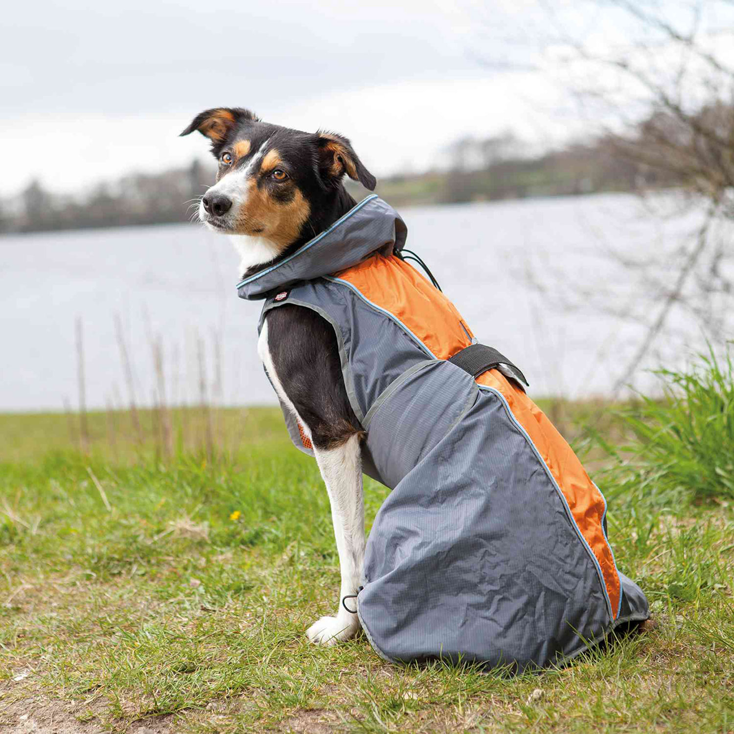 Impermeable Solid, XS, 30 cm, Gris-Naranja