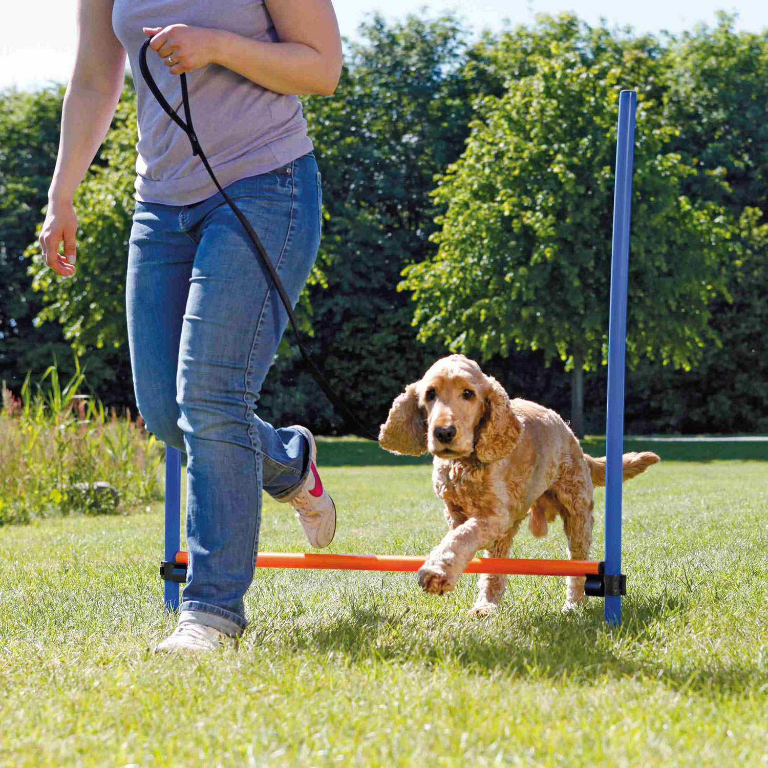 Vallas Agility, Regulable, 129 × 115 cm, Azul-Naranja