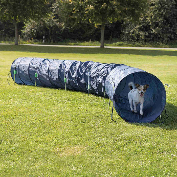 Túnel Básico para Agility
