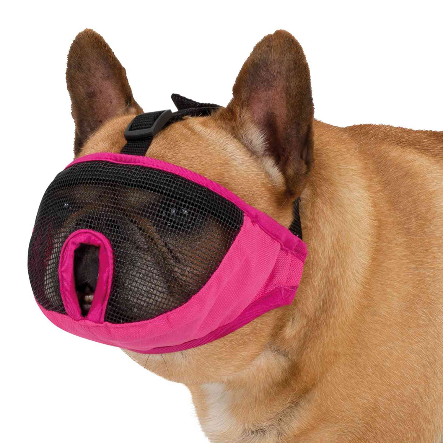 Bozal para Hocico Corto, Poliéster, S, 15 cm, Rosa