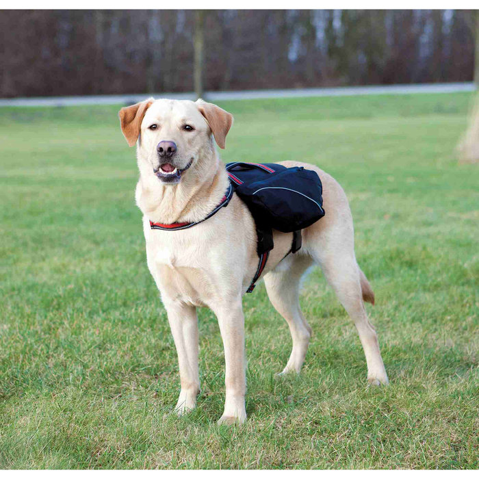 Mochila para Perros