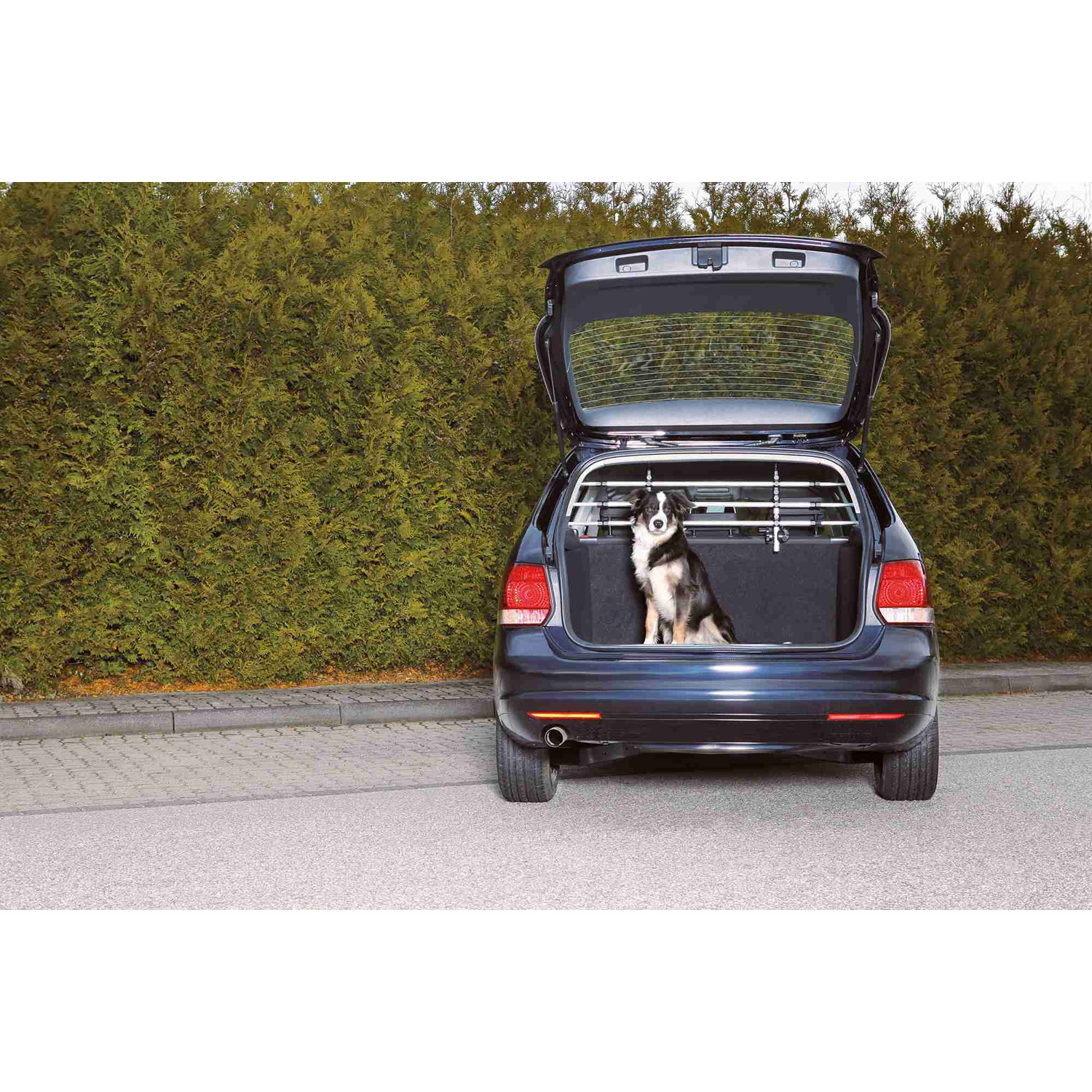 Rejilla Seguridad para Coche, Plata-Negro