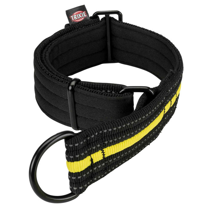 Fusion Sporting Collar de Educación, extra ancho