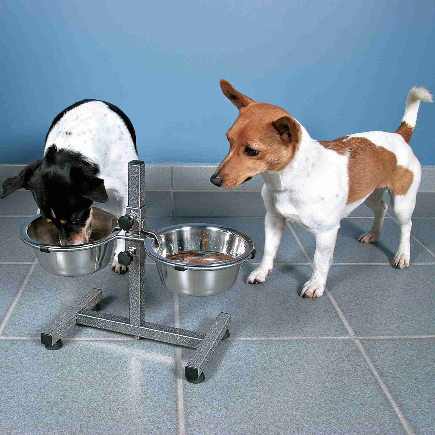 Barra 2 comederos, 0.75 l, ø17 cm, pie en H, 27 cm, Gris
