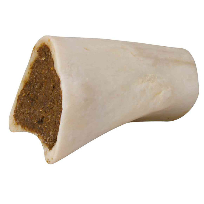 Huesos de Tibia