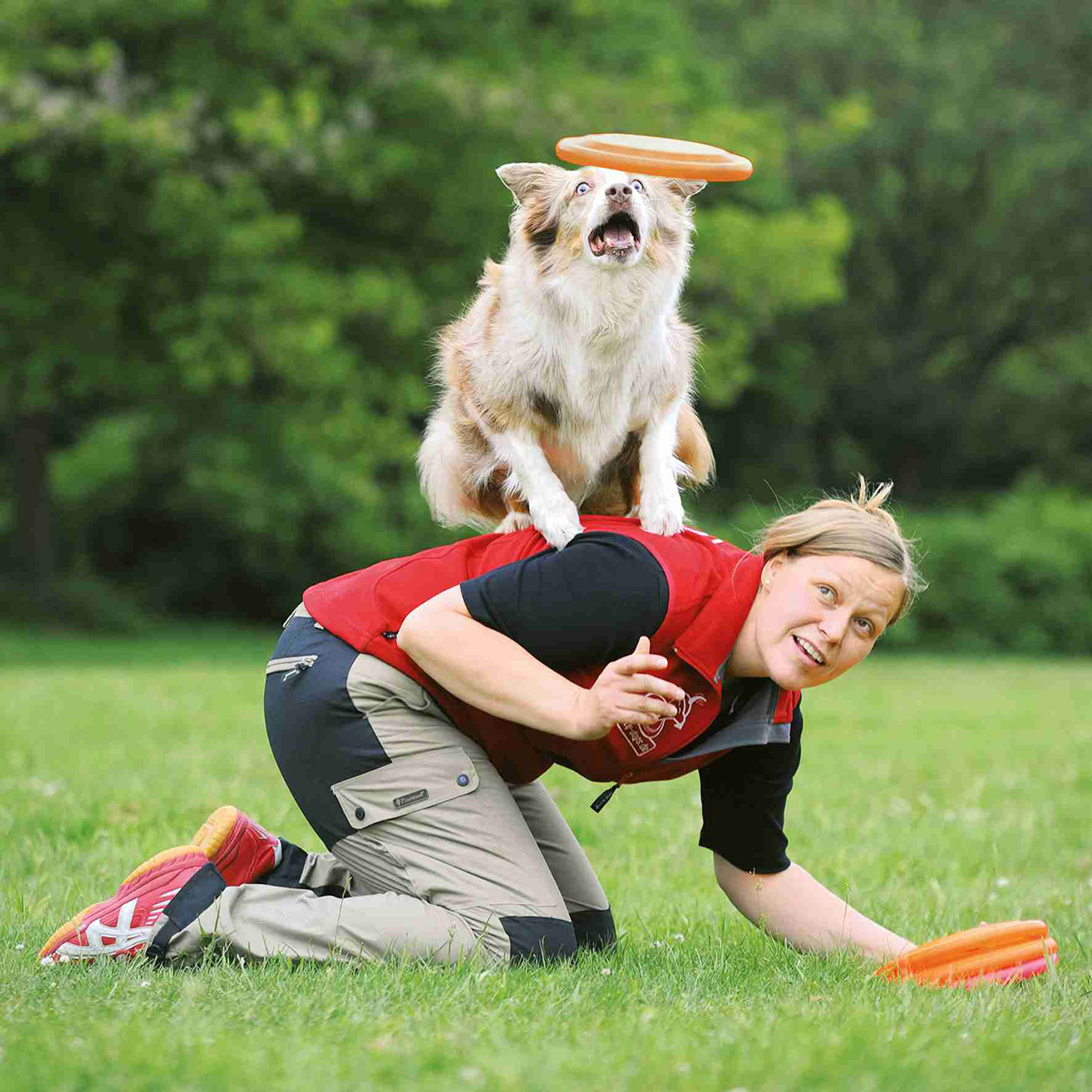 Disco Dog Activity, Resistente Mordiscos, ø19 cm