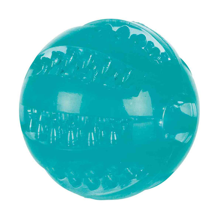 Pelota Denta Fun