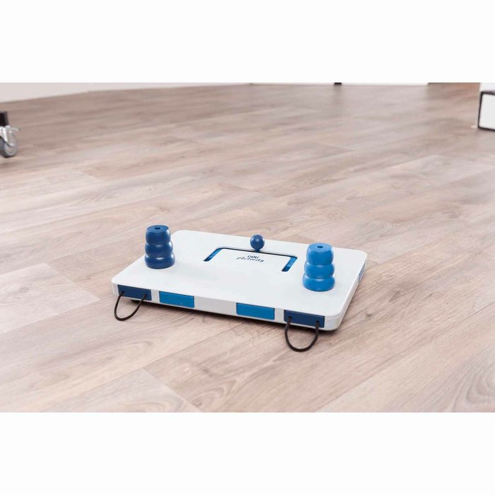 Juego Interactivo Move2Win