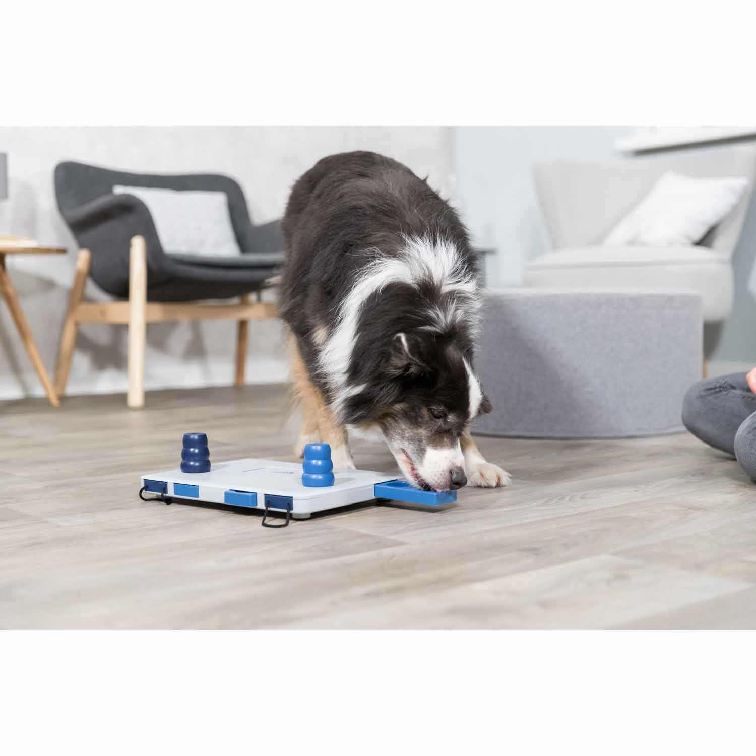 Dog Activity Move2Win, 34 x 6 x 13 cm, Nivel 3