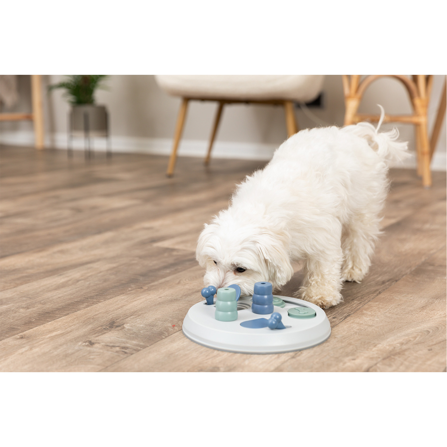 Dog Activity Flip Board, ø23 x 3 cm, Niv.2