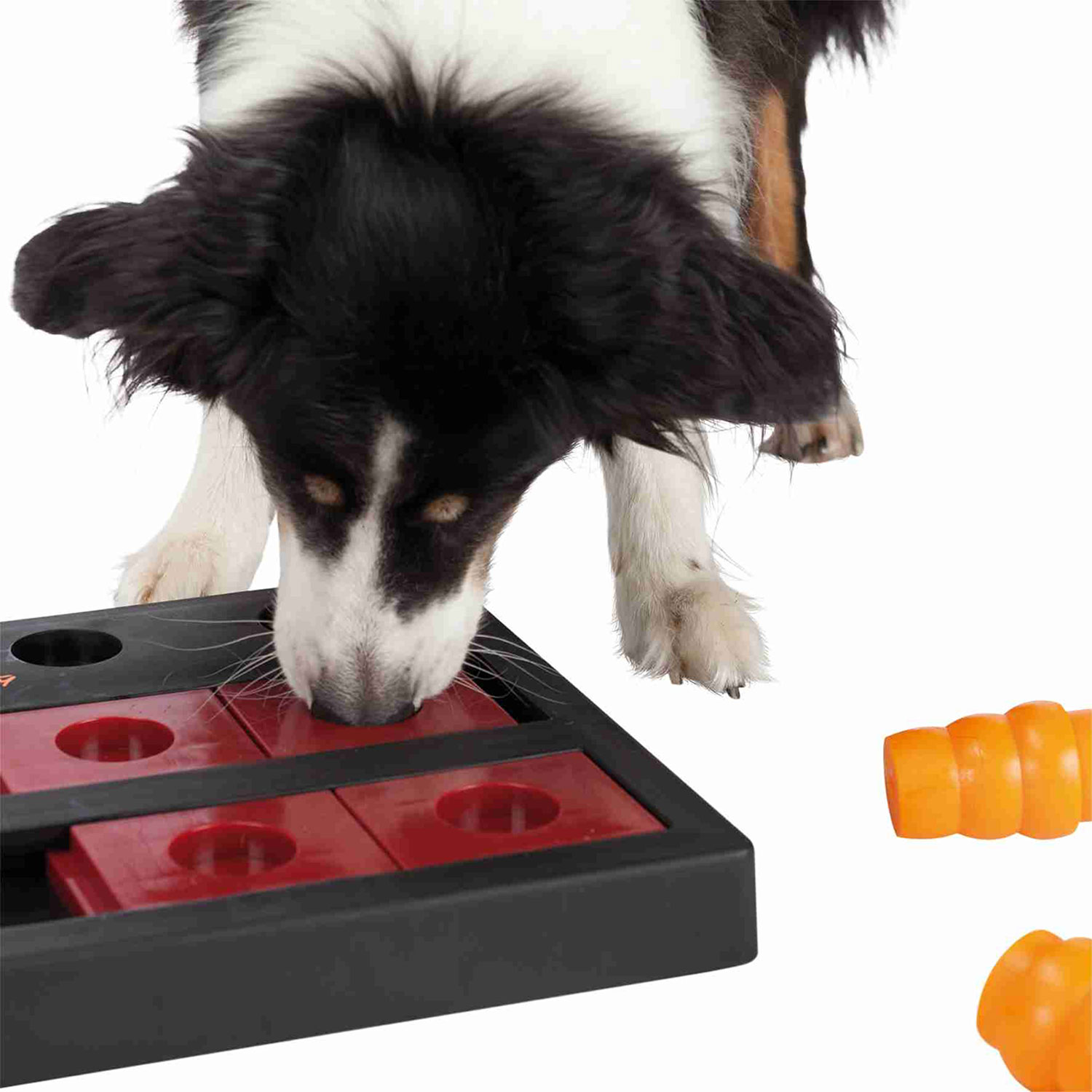 Dog Activity Chess, 40 x 10 x 27 cm, Nivel 3