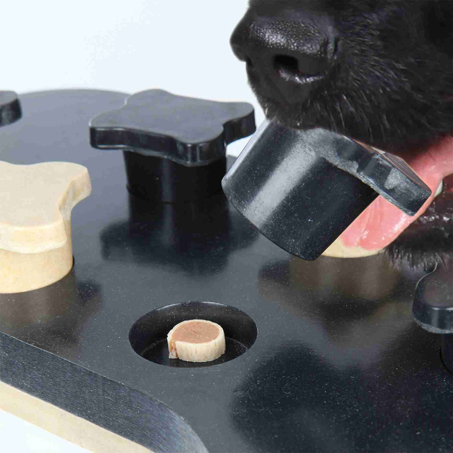 Dog Activity Game Bone, 31 x 20 cm, Nivel 1 y 2