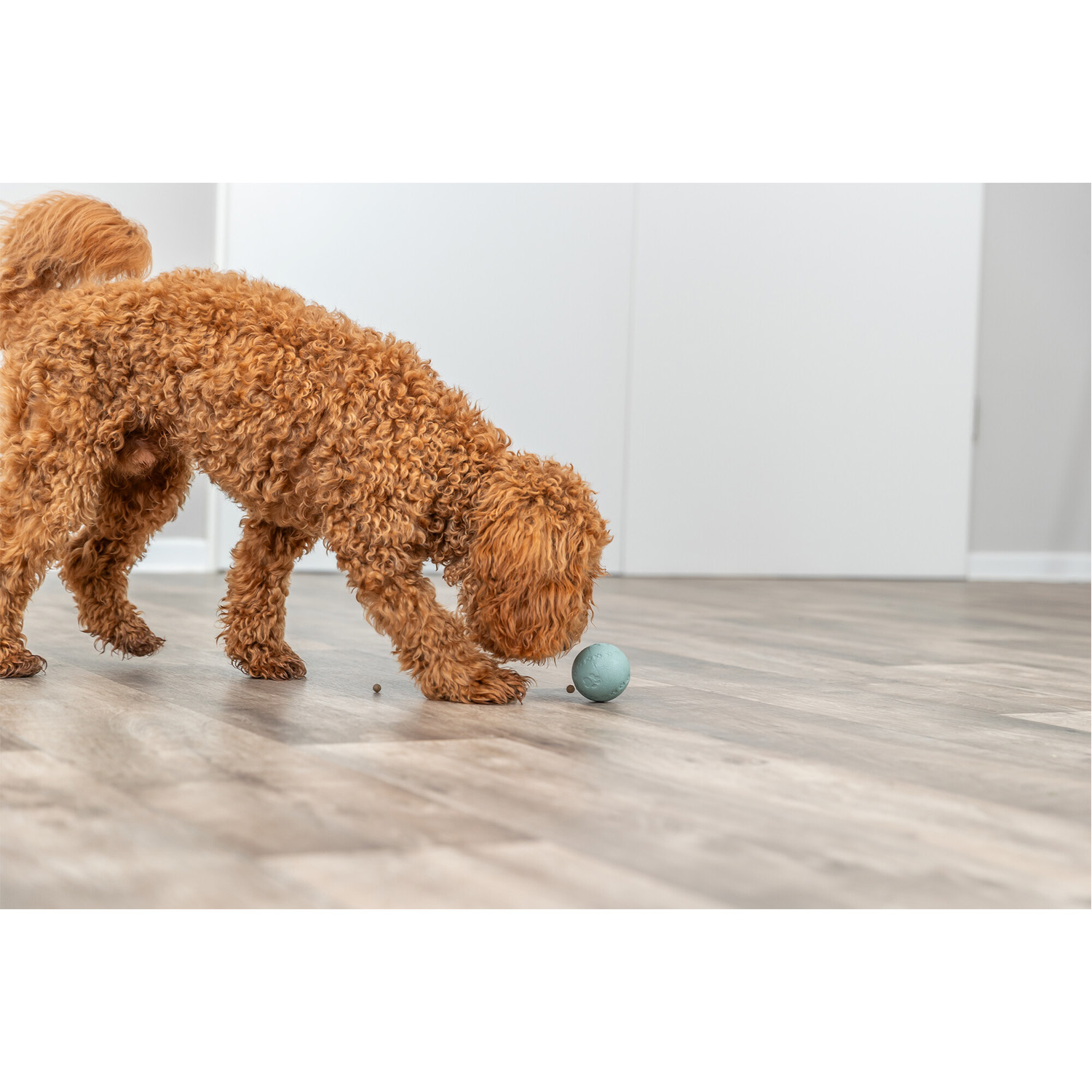 Pelota Dog Activity Laberinto Snacks, ø6 cm