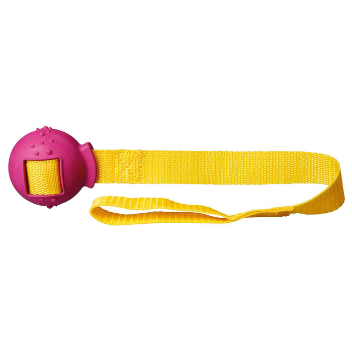 Pelota con Asa