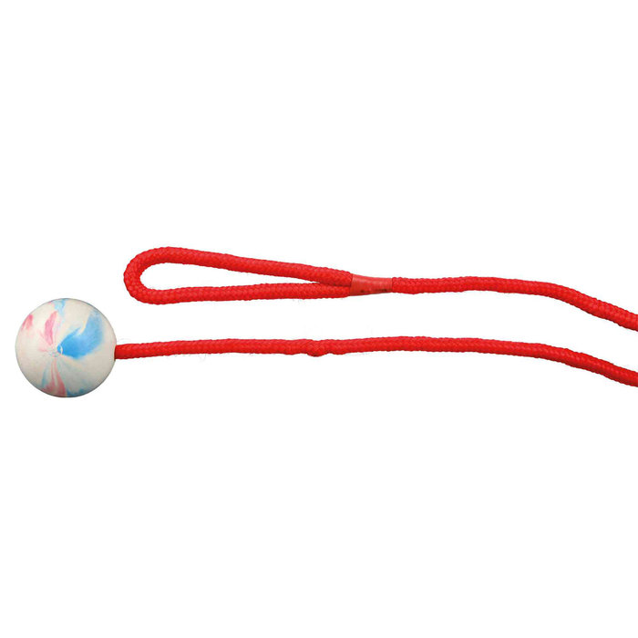 Pelota con Cuerda