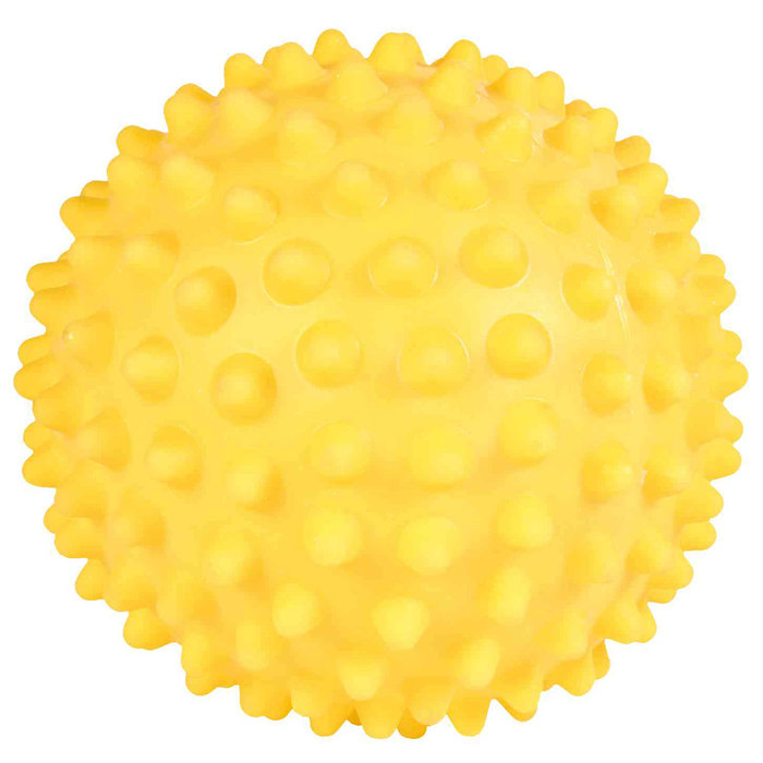 Pelota Erizo