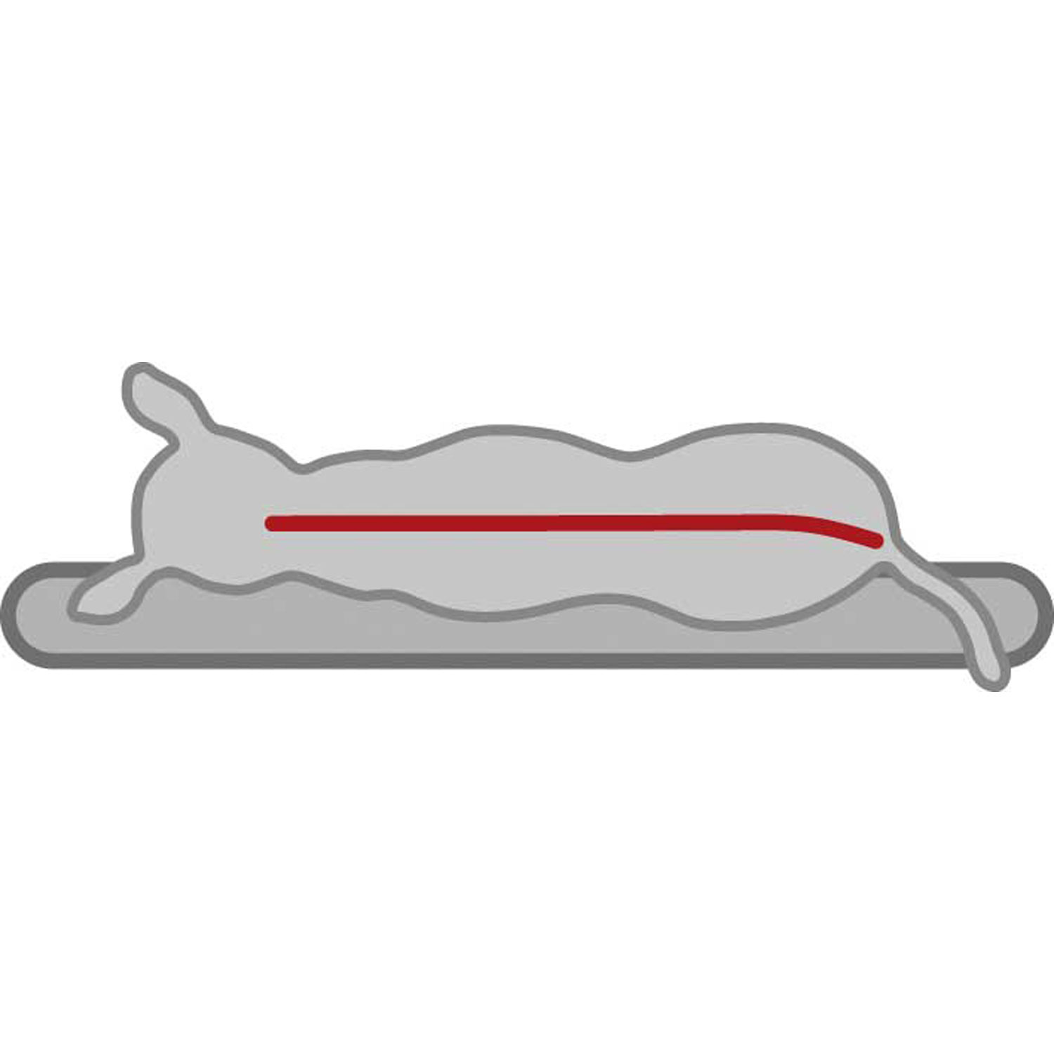 Colchoneta Vital Bendson, 80 × 55 cm, Gris Claro