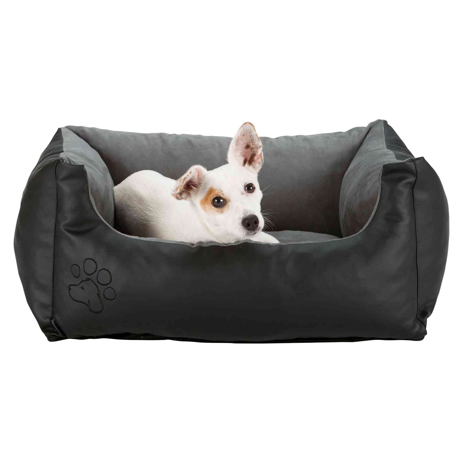 Cama Bino, 60 × 40 cm, Negro-Gris