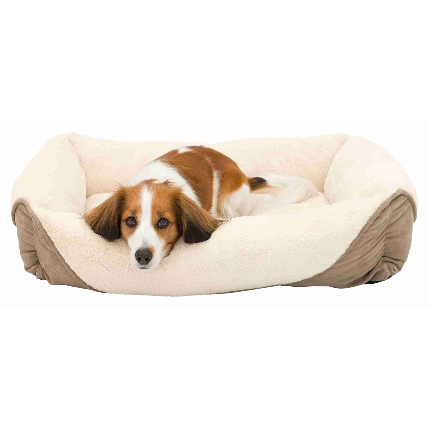 Cama Pippa, 60 × 50 cm, Marrón Claro-Crema