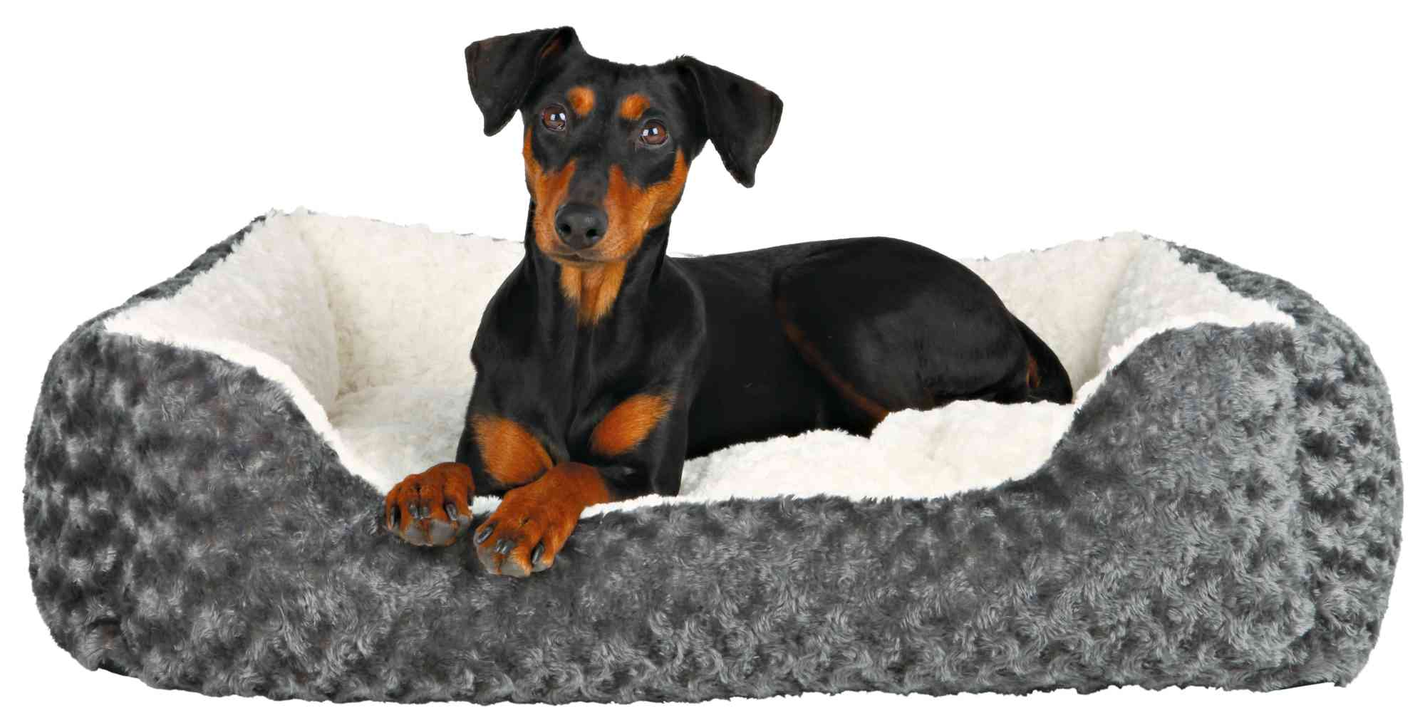 Cama Kaline, 50 × 40 cm, Gris-Crema