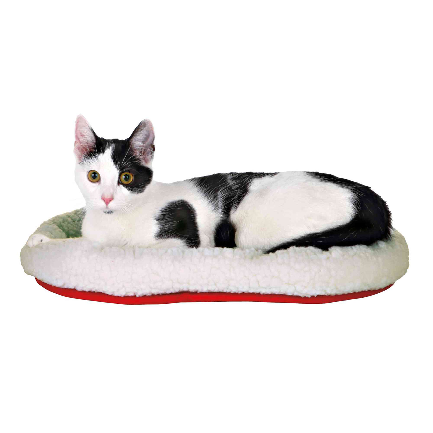 Cama Acolchada, Reversible, 47 x 38 cm, Lana, Blanco-Rojo