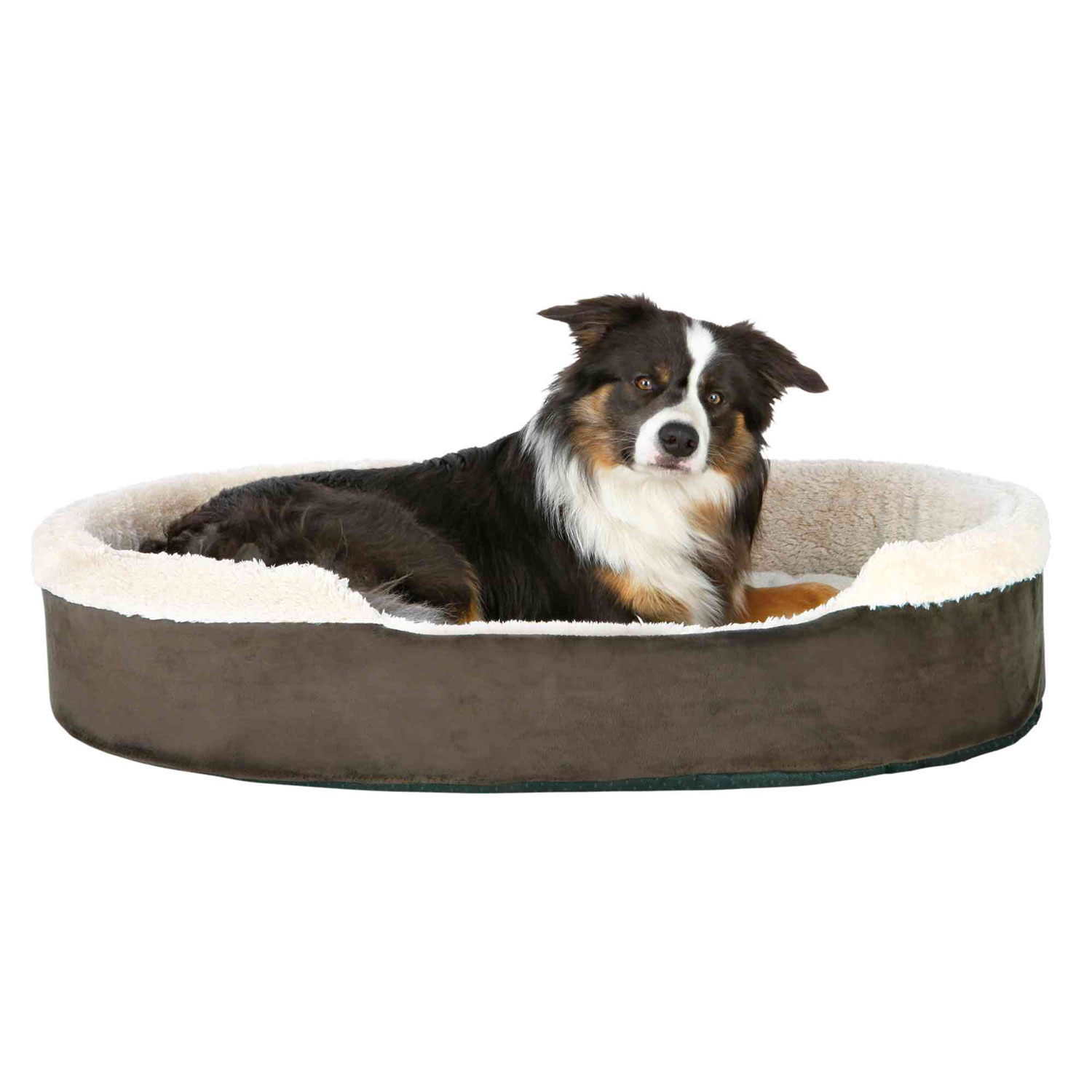Cama Cosma, 55 × 45 cm, Marrón oscuro-Beige