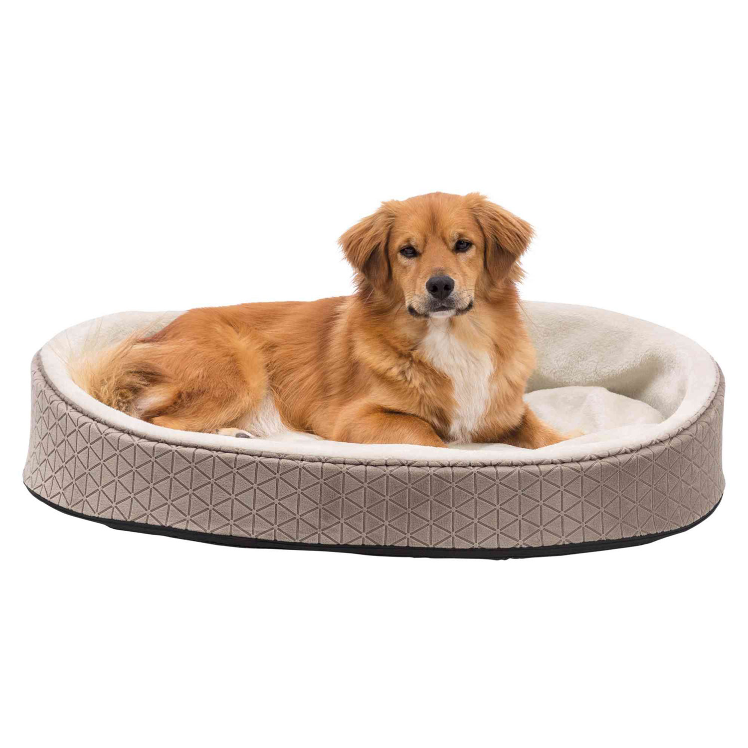 Cama Camiro, 55 × 45 cm, Gris topo-Beige