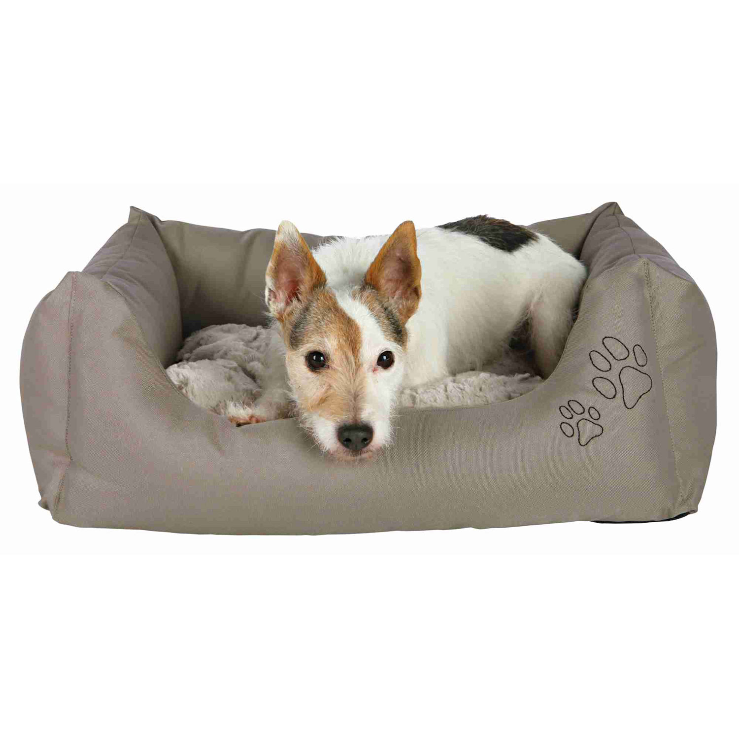 Cama Drago Cosy 60 × 50 cm, Gris topo - Beige