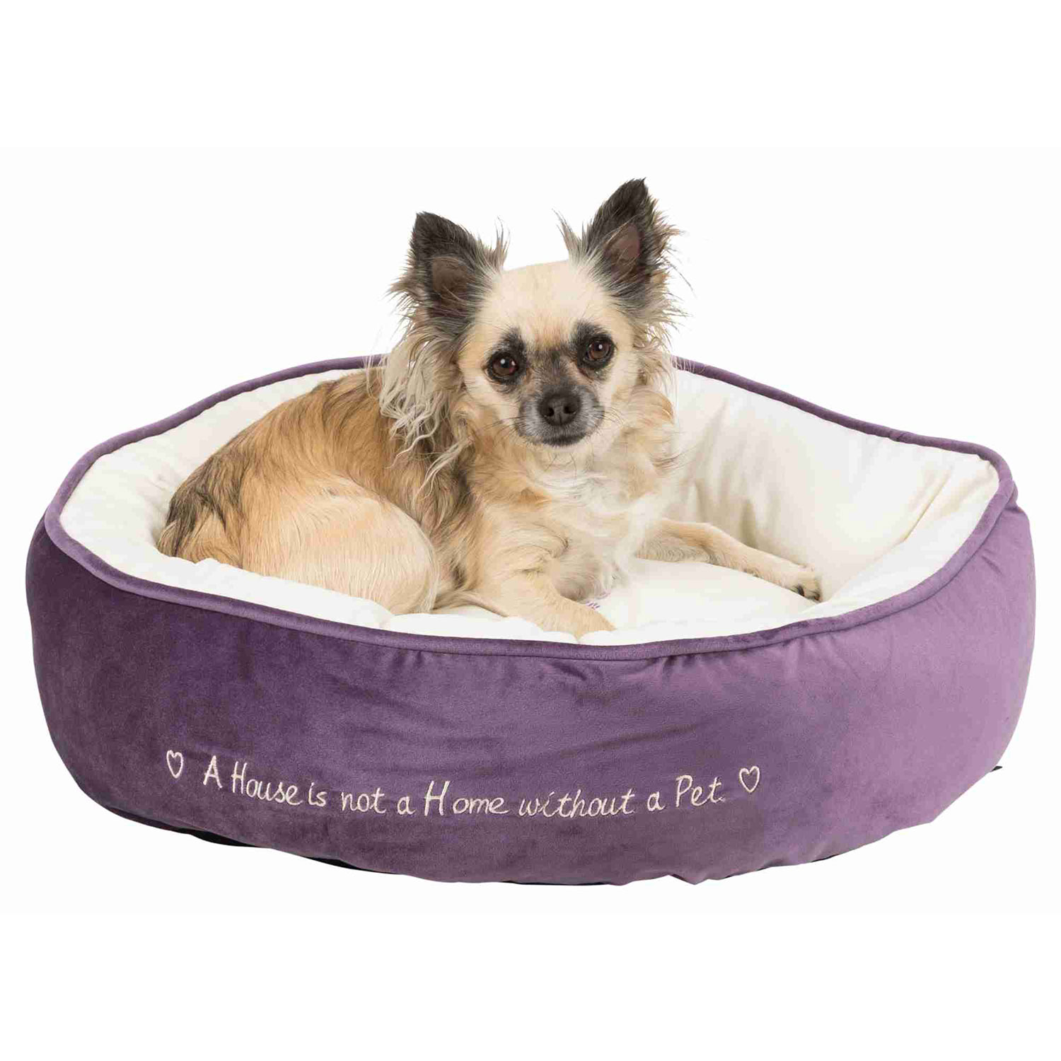 Cama Pets Home, ø50 cm, Morado-Crema