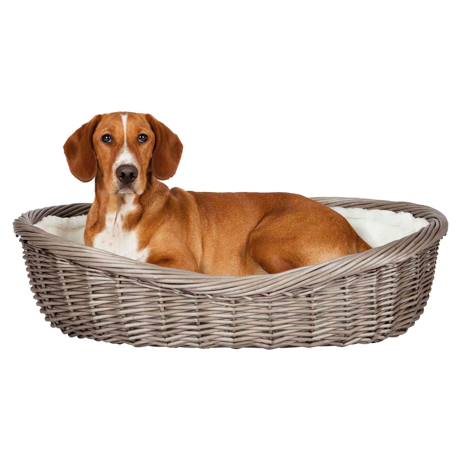 Cesta con acolchado y cojín, 50 cm, Gris