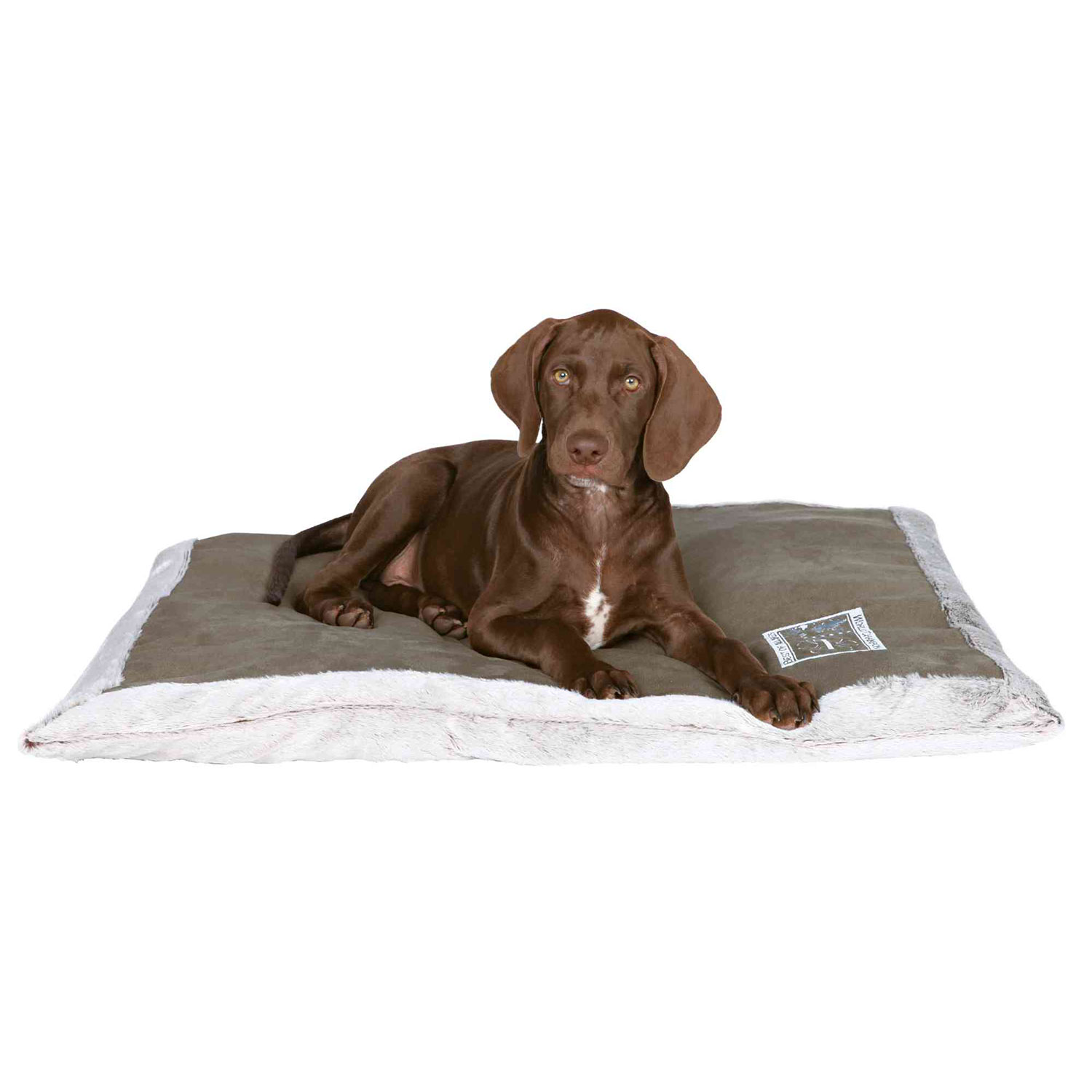 Cojín Best of all Breeds, 60 × 50 cm, Gris claro-Gris topo