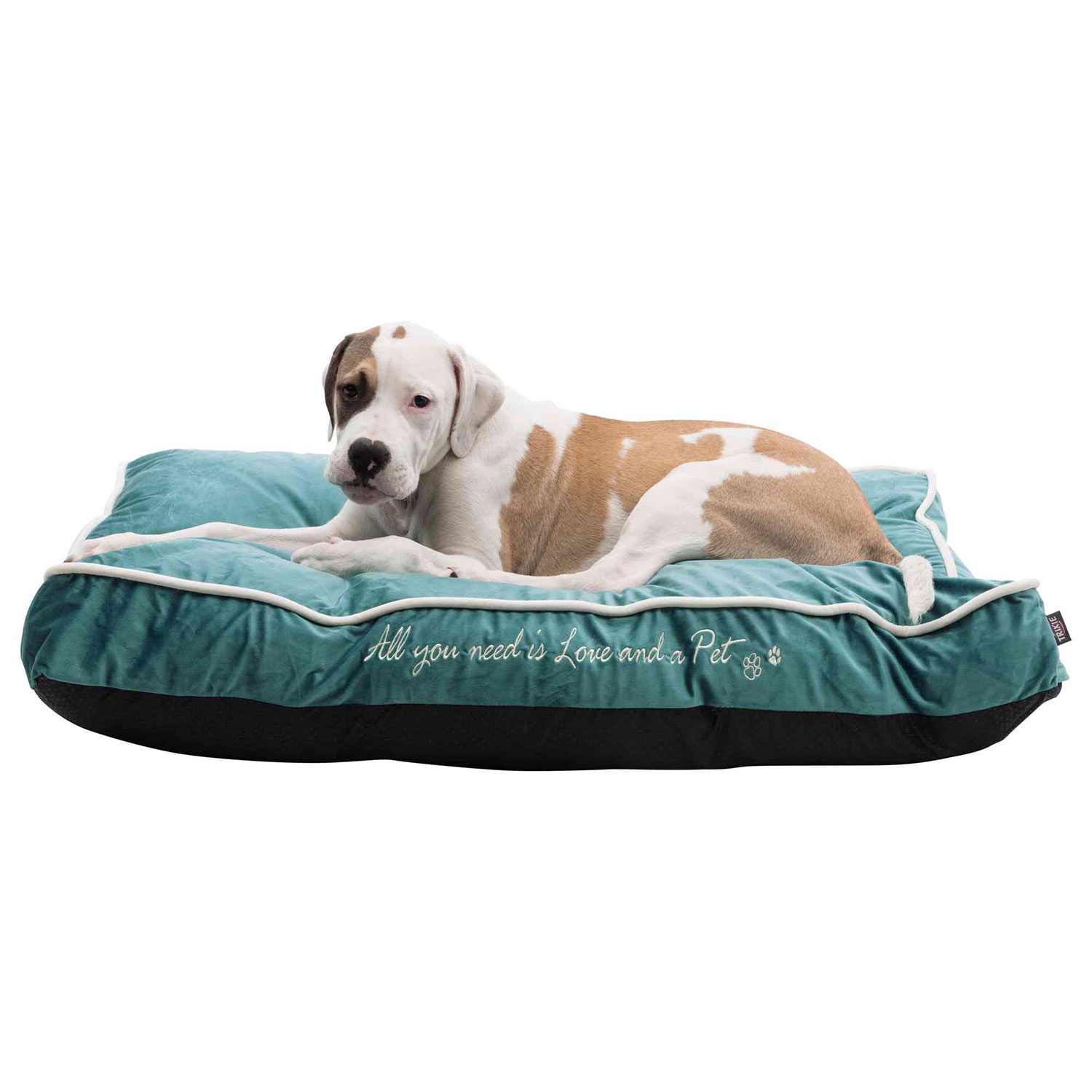 Cojín Pets Home, 60 × 40 cm, Azul Petróleo