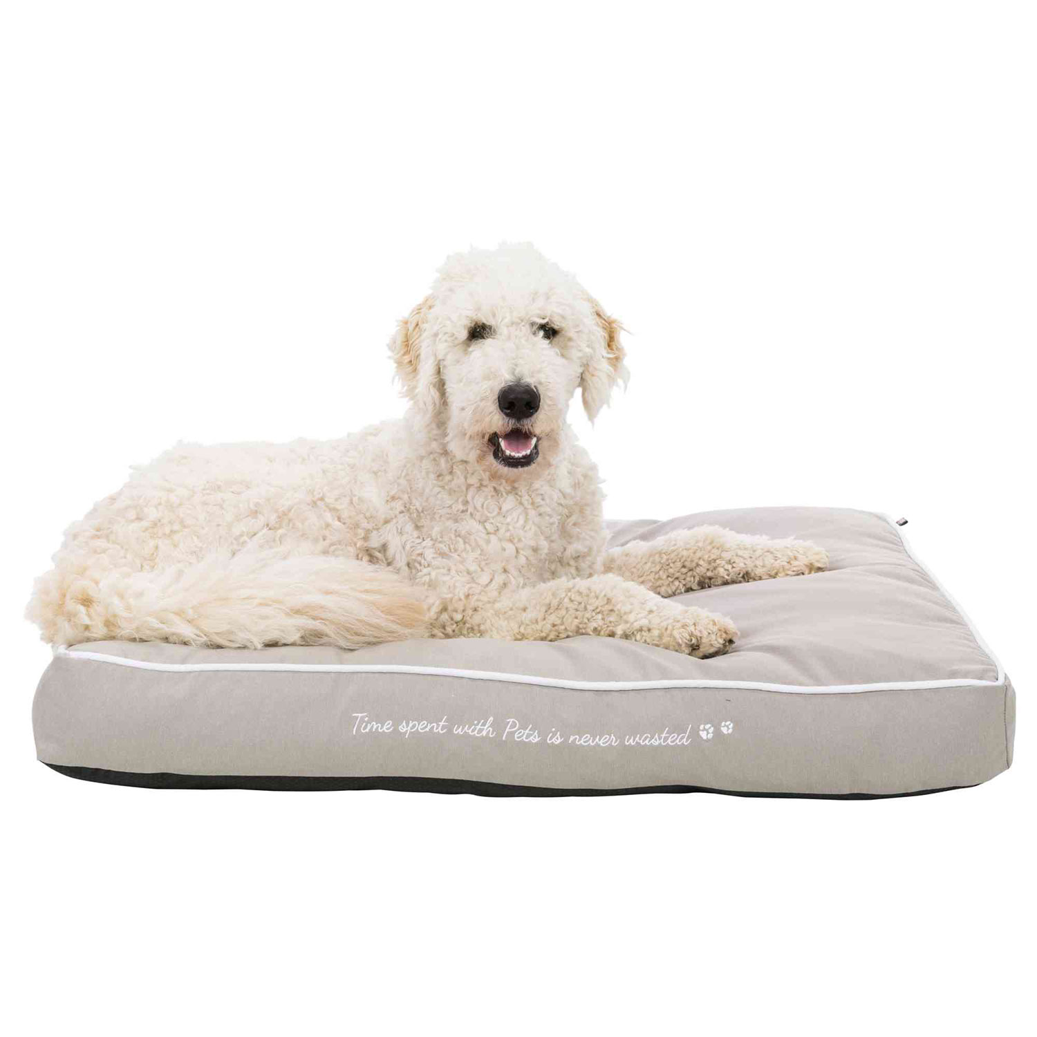 Cojín Pets Home, 60 × 40 cm, Gris topo