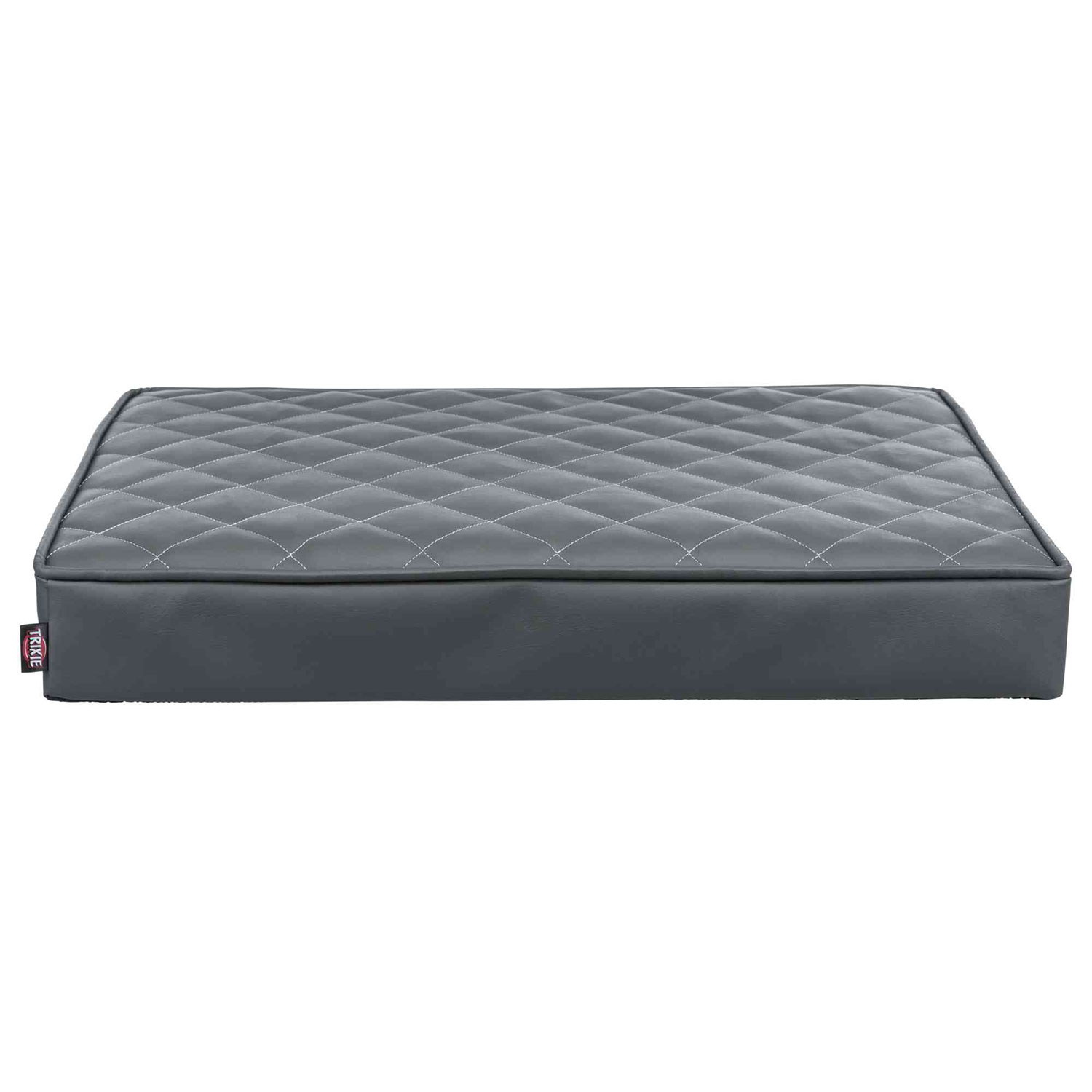 Cojín Vital Santo, Ecopiel, 60 × 40 cm, Gris